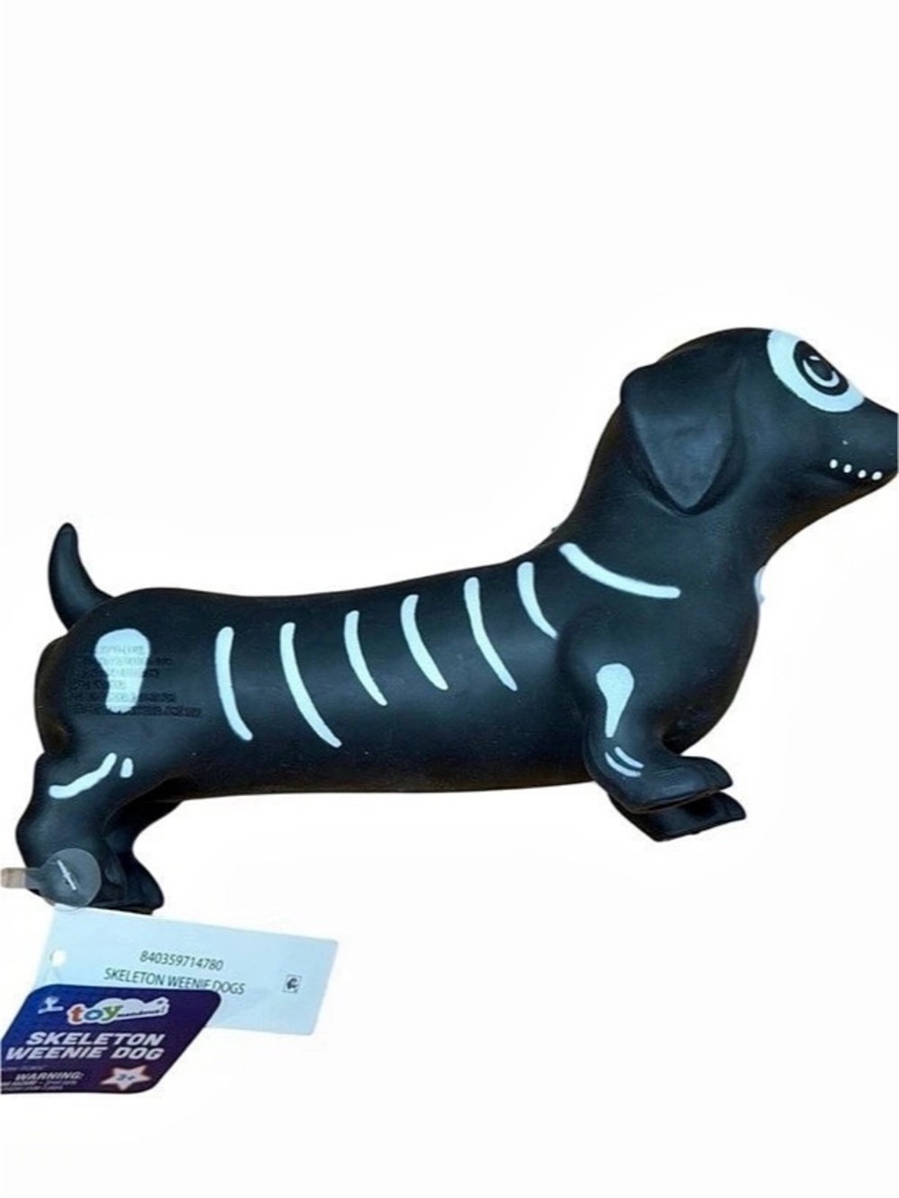 Squeezy Halloween Dachshund
Dogs Master
